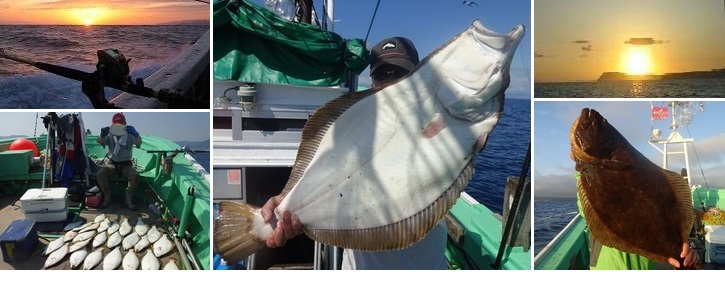 小樽 釣り船 小樽沖 遊漁船 武蔵の釣果