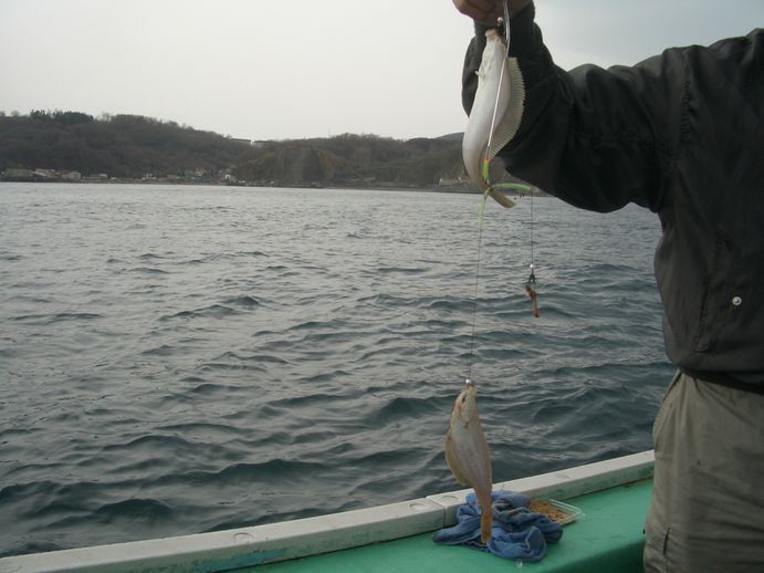 小樽沖　カレイ