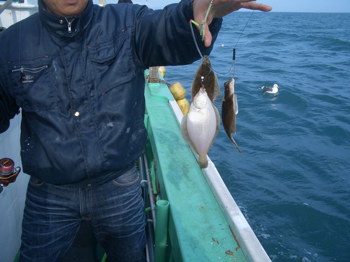 小樽沖　五目　カレイ