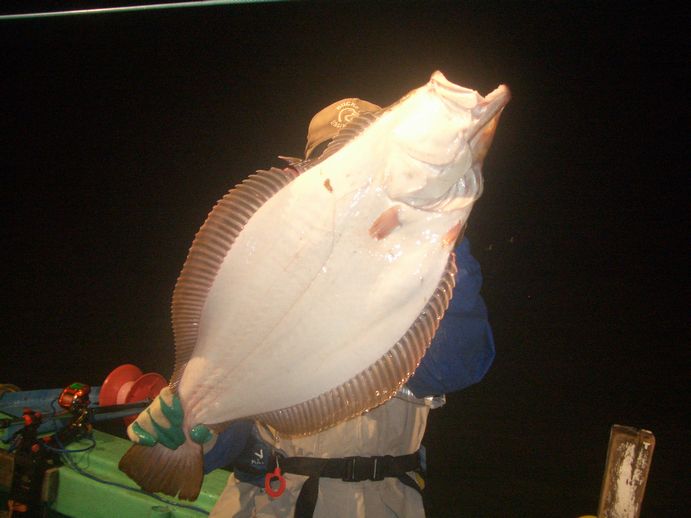 小樽沖　イカ釣り