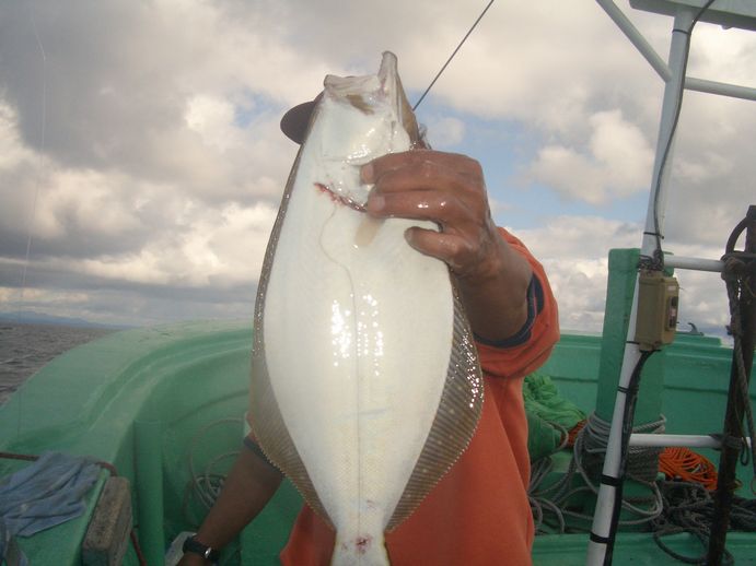 小樽沖　ヒラメ釣り