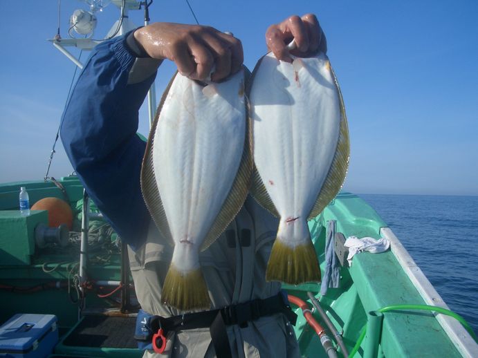 小樽沖　ヒラメ釣り