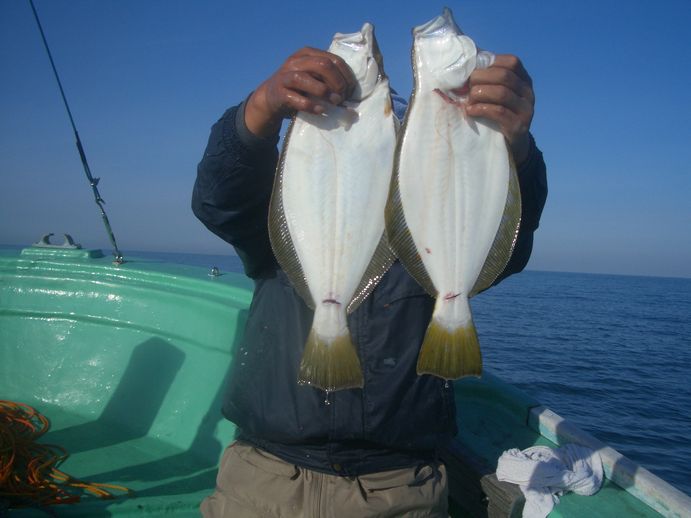 小樽沖　ヒラメ釣り