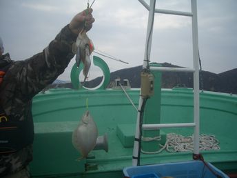 小樽沖　カレイ釣り