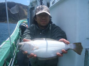 小樽沖　ヒラメ釣り