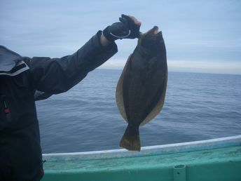 小樽沖　ヒラメ釣り