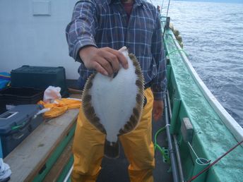 小樽沖　カレイ釣り