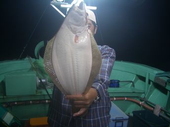 小樽沖　ヒラメ釣り