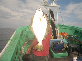 小樽沖  ヒラメ釣り