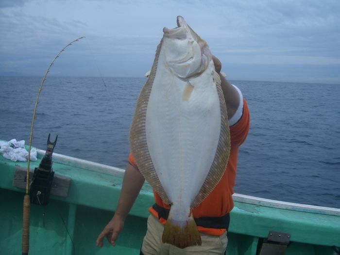 小樽沖　ヒラメ釣り