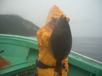 小樽沖  ヒラメ釣り