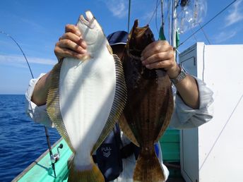 小樽　小樽沖　ヒラメ釣り