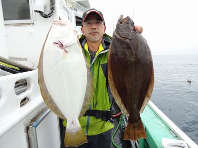 小樽　小樽沖　ヒラメ釣り