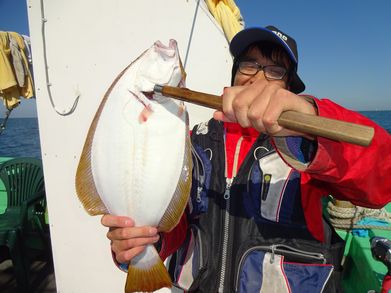 小樽　小樽沖　ヒラメ釣り