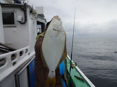 小樽　小樽沖　ヒラメ釣り