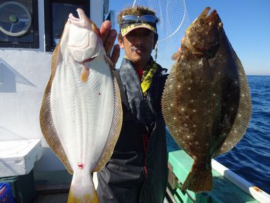 小樽　小樽沖　ヒラメ釣り