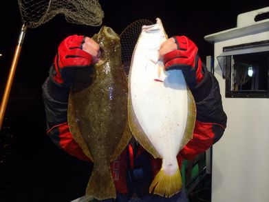 小樽　小樽沖　ヒラメ釣り