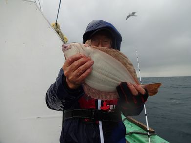 小樽　小樽沖　ヒラメ釣り