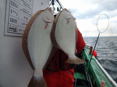 小樽　小樽沖　ヒラメ釣り