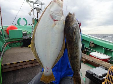 小樽　小樽沖　ヒラメ釣り