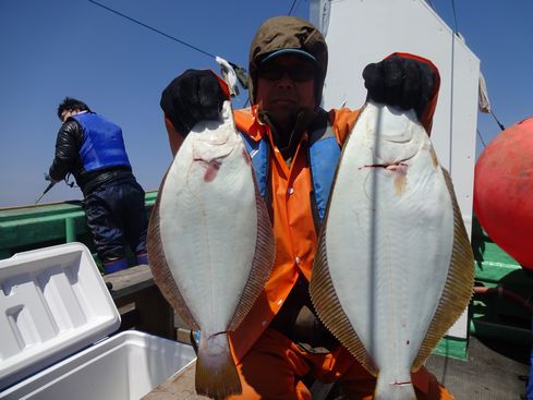 小樽　小樽沖　ヒラメ釣り