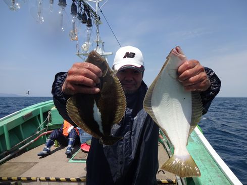 小樽　小樽沖　ヒラメ釣り