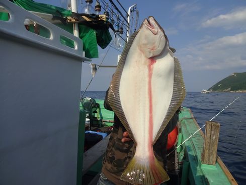 小樽　小樽沖　ヒラメ釣り