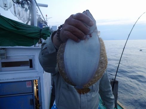 小樽　小樽沖　ヒラメ釣り