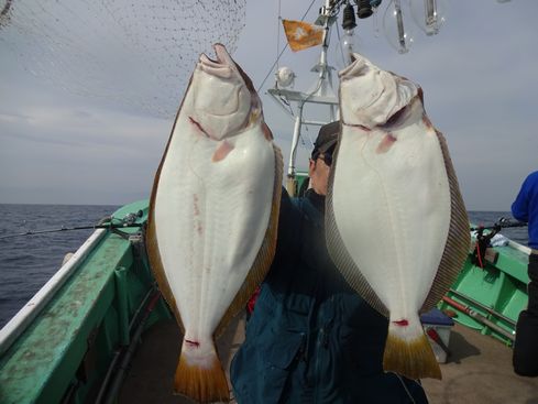 小樽　小樽沖　ヒラメ釣り