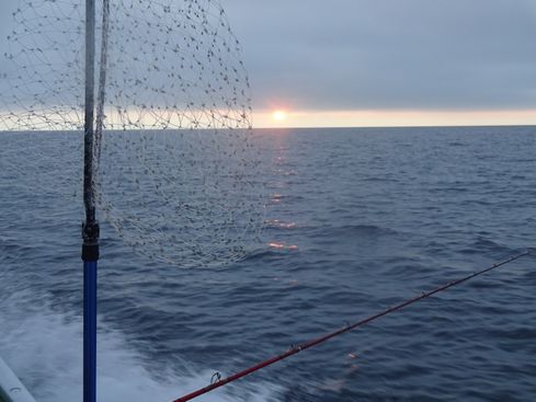 小樽　小樽沖　ヒラメ釣り