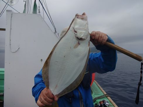 小樽　小樽沖　ヒラメ釣り