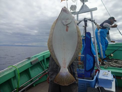 小樽　小樽沖　ヒラメ釣り