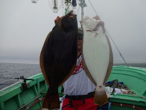 小樽　小樽沖　ヒラメ釣り