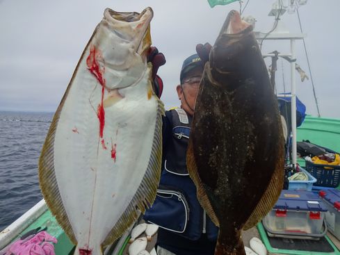 小樽　小樽沖　ヒラメ釣り