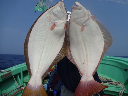 小樽　小樽沖　ヒラメ釣り