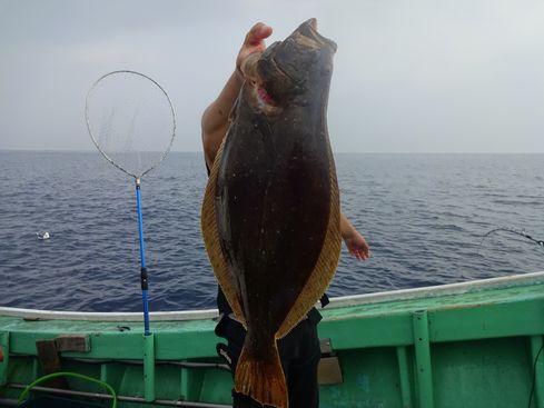 小樽　小樽沖　ヒラメ釣り