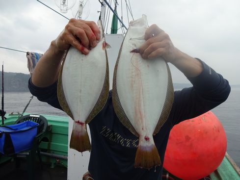 小樽　小樽沖　ヒラメ釣り