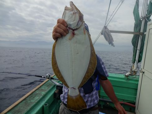 小樽　小樽沖　ヒラメ釣り