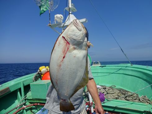 小樽　小樽沖　ヒラメ釣り