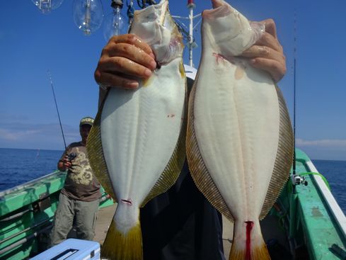 小樽　小樽沖　ヒラメ釣り