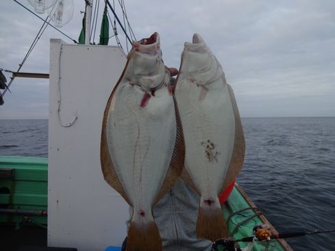 小樽　小樽沖　ヒラメ釣り