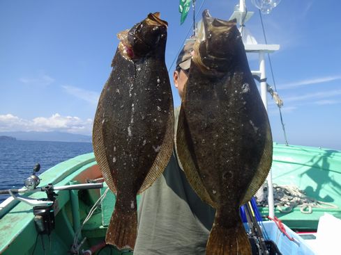 小樽　小樽沖　ヒラメ釣り