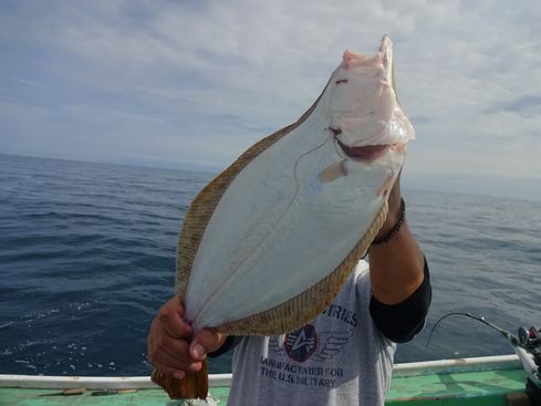 小樽　小樽沖　ヒラメ釣り