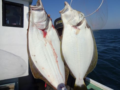 小樽　小樽沖　ヒラメ釣り