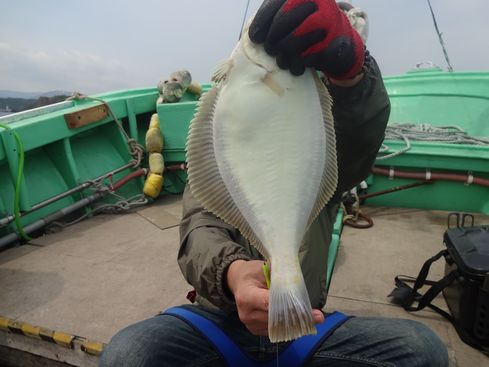 小樽　小樽沖　カレイ釣り