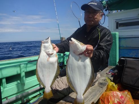 小樽　小樽沖　ヒラメ釣り