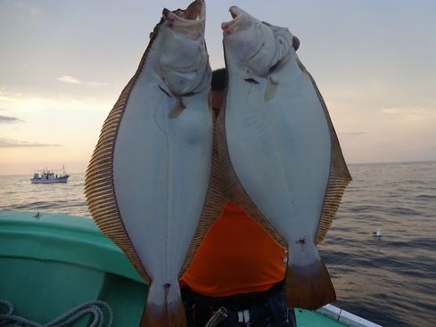 小樽　小樽沖　ヒラメ釣り