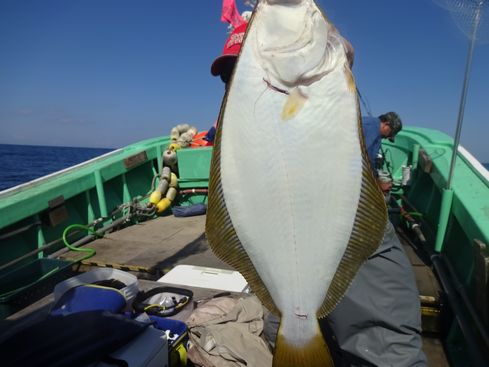 小樽　小樽沖　ヒラメ釣り