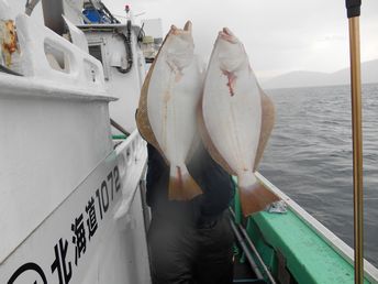 小樽沖  ヒラメ釣り