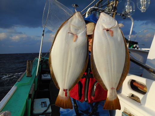 小樽　小樽沖　ヒラメ釣り